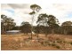 18 Heald Road, Travellers Rest TAS 7250