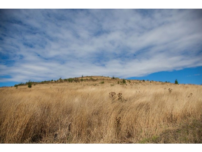 51 Station Road, Lilydale TAS 7268