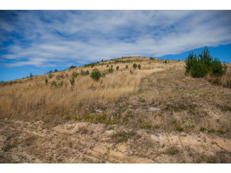 51 Station Road, Lilydale TAS 7268