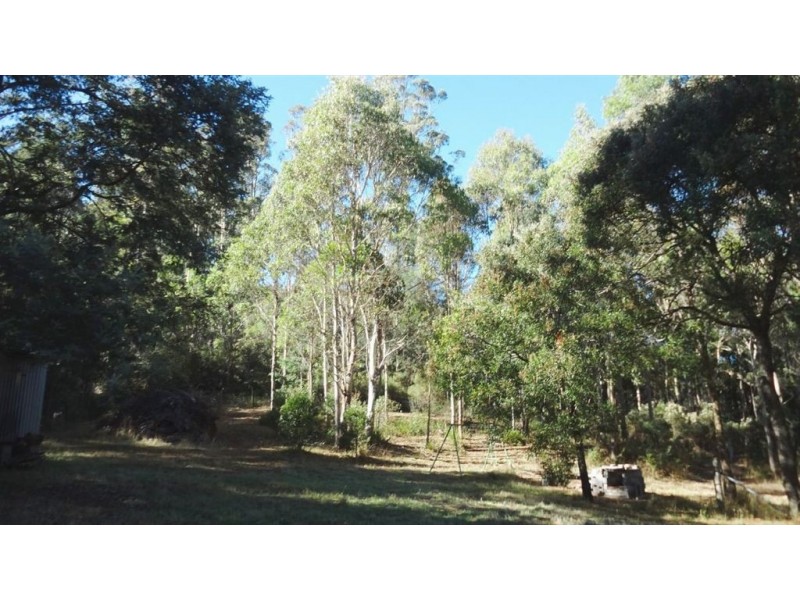 38311 Tasman Highway, Targa TAS 7259