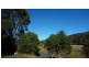 38311 Tasman Highway, Targa TAS 7259