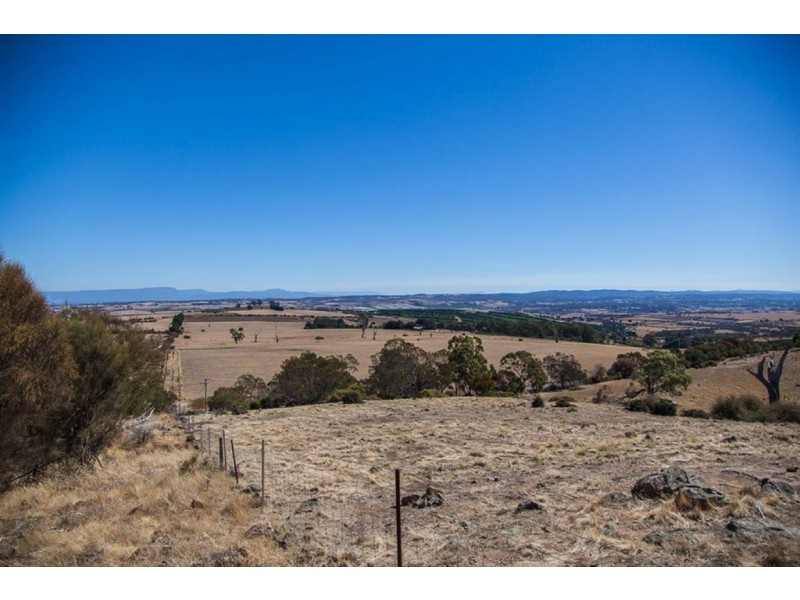 971 Blessington Road, White Hills TAS 7258