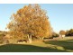 121 Hargrave Street, Mayfield TAS 7248