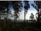 4 The Rise, Windermere TAS 7252