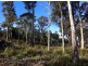 4 The Rise, Windermere TAS 7252