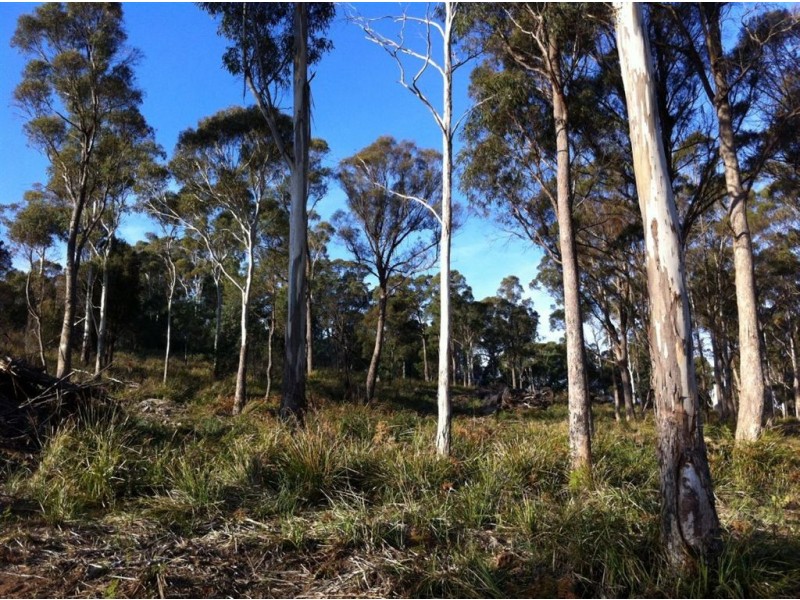 4 The Rise, Windermere TAS 7252