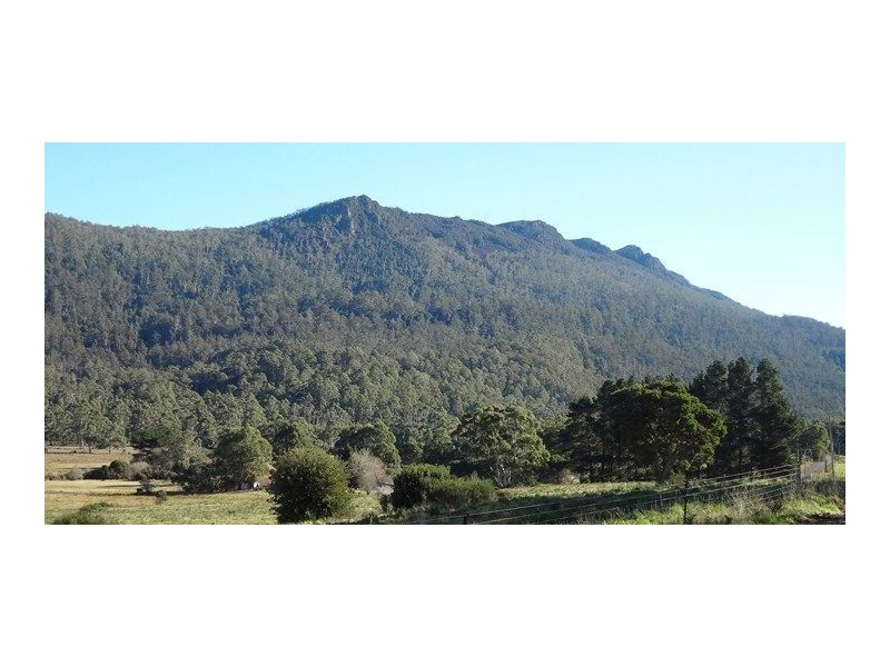 463 Mount Arthur Road, Patersonia TAS 7259