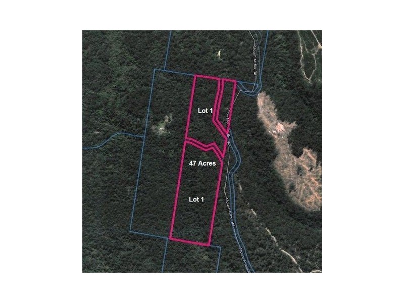 463 Mount Arthur Road, Patersonia TAS 7259