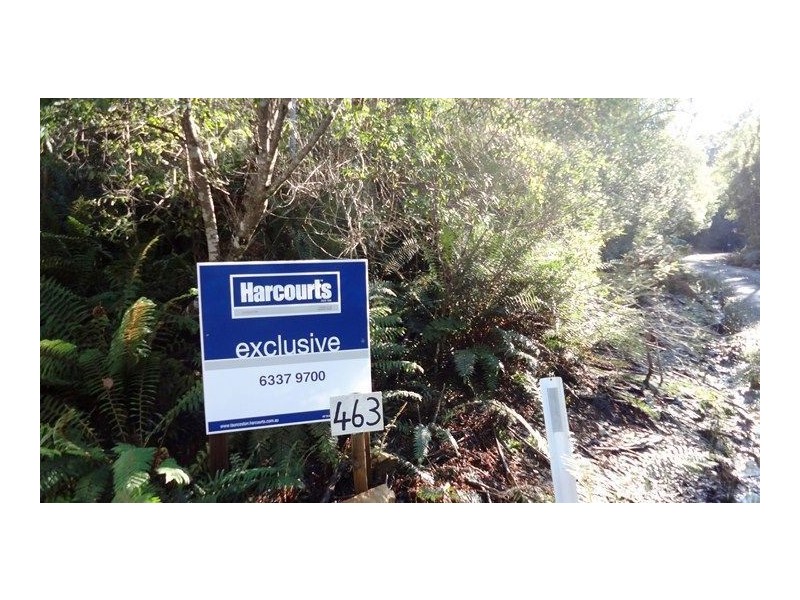 463 Mount Arthur Road, Patersonia TAS 7259