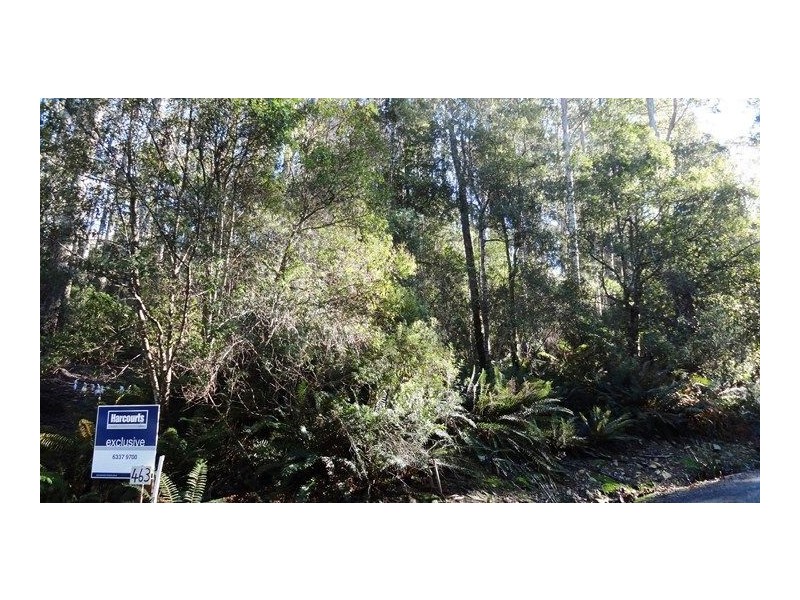 463 Mount Arthur Road, Patersonia TAS 7259