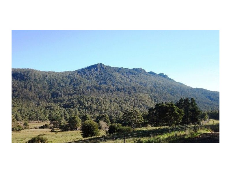 463 Mount Arthur Road, Patersonia TAS 7259