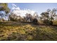 599 West Tamar Road, Riverside TAS 7250