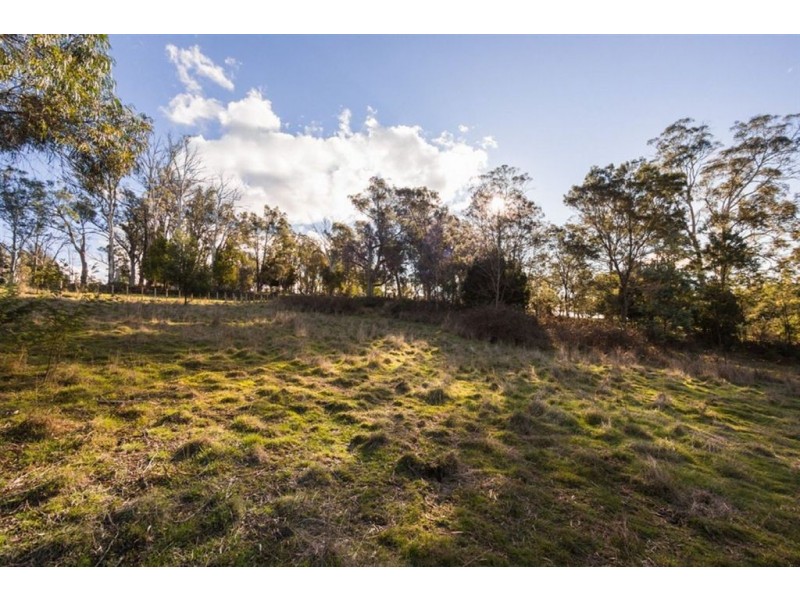 599 West Tamar Road, Riverside TAS 7250