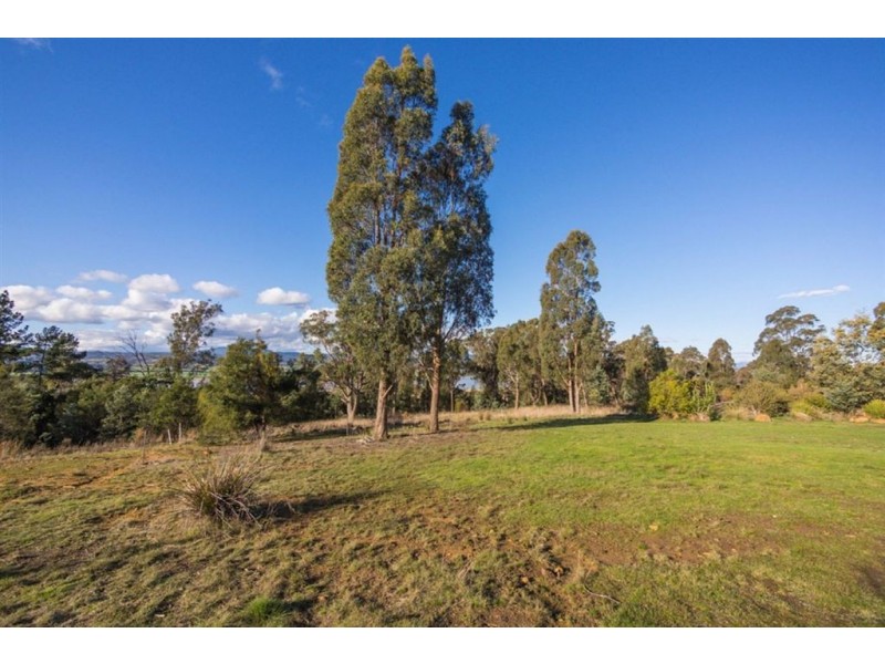 599 West Tamar Road, Riverside TAS 7250