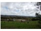 21 Waverley Road, St Leonards TAS 7250