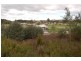 21 Waverley Road, St Leonards TAS 7250