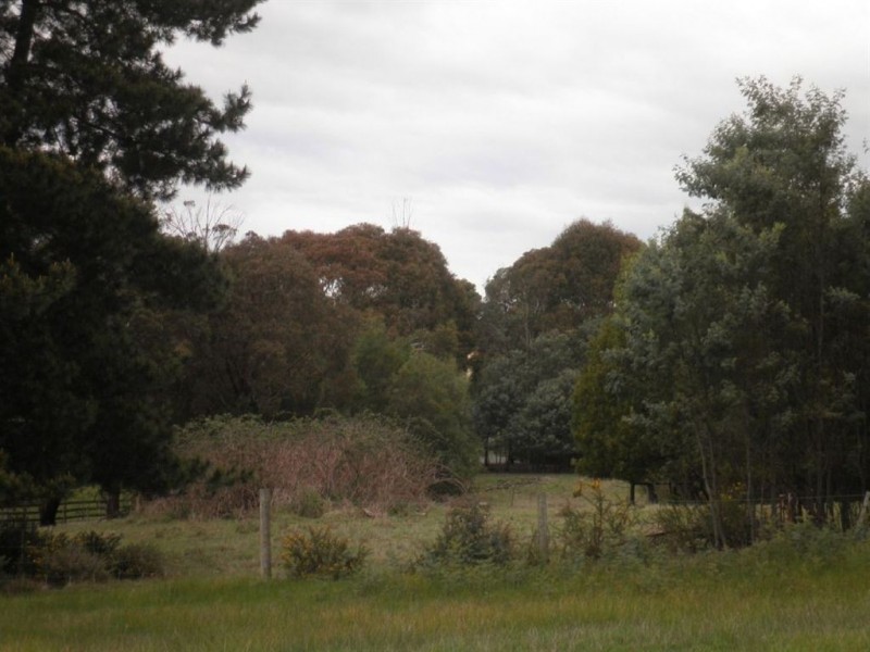 5 Grimes Place, Youngtown TAS 7249