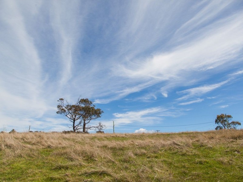 Lot 8/40496 Tasman Highway, St Leonards TAS 7250