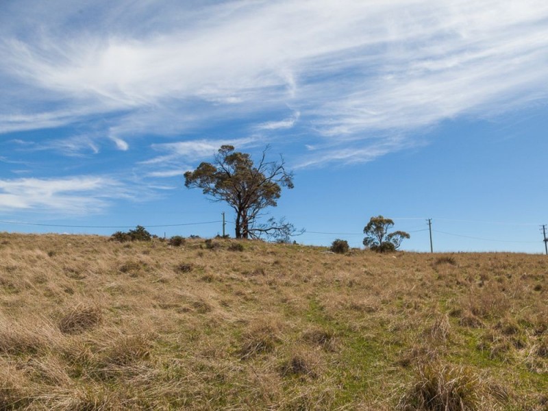 Lot 8/40496 Tasman Highway, St Leonards TAS 7250