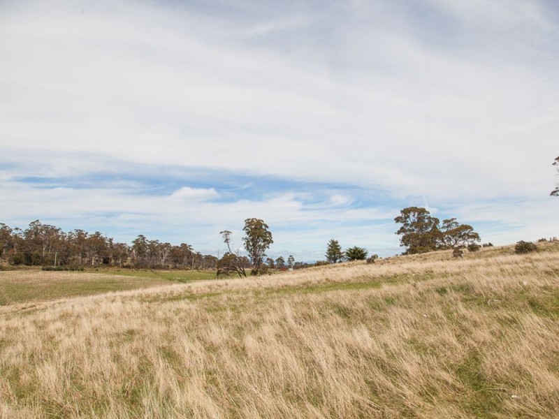 Lot 8/40496 Tasman Highway, St Leonards TAS 7250