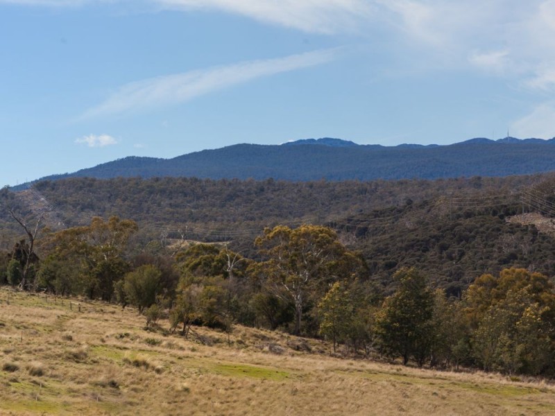 Lot 8/40496 Tasman Highway, St Leonards TAS 7250