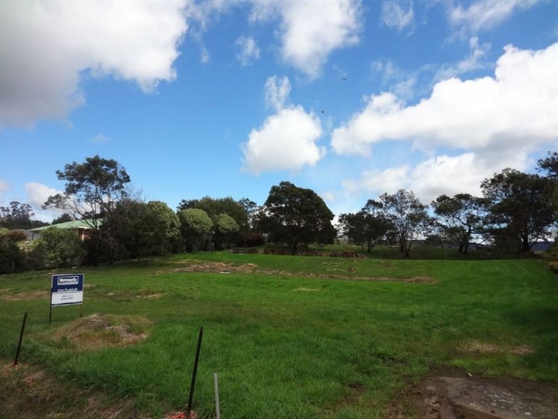 43 Panorama Road, Blackstone Heights TAS 7250