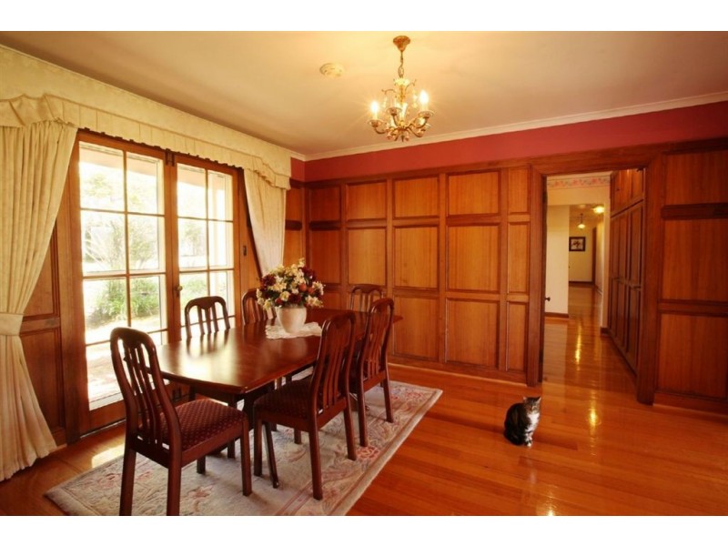 738 Blessington Road, White Hills TAS 7258