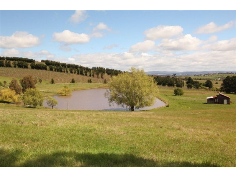 738 Blessington Road, White Hills TAS 7258