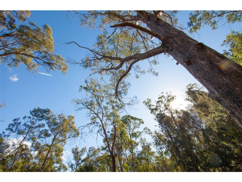 2043 Windermere Road, Swan Bay TAS 7252