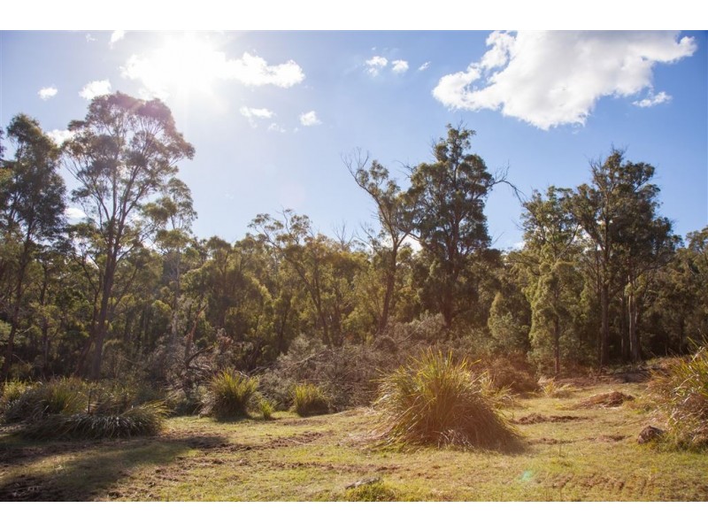 2043 Windermere Road, Swan Bay TAS 7252