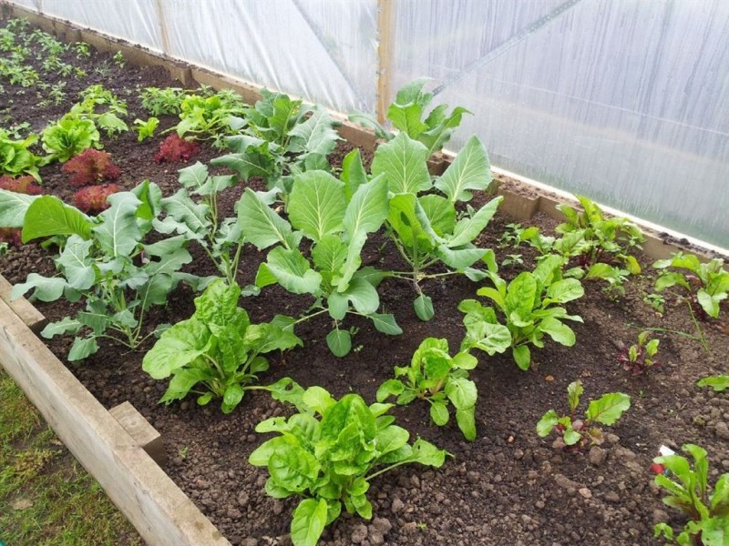 431 Hobart Road, Youngtown TAS 7249