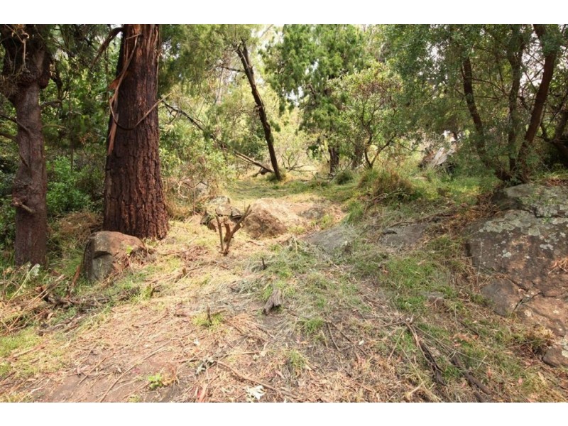 11 Denison Road, West Launceston TAS 7250