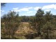 3B/Lot 6 Stephensdale Drive, Riverside TAS 7250