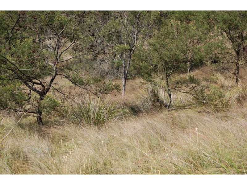 3B/Lot 6 Stephensdale Drive, Riverside TAS 7250