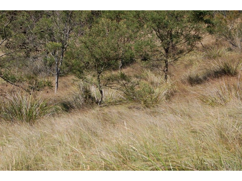 3B/Lot 6 Stephensdale Drive, Riverside TAS 7250