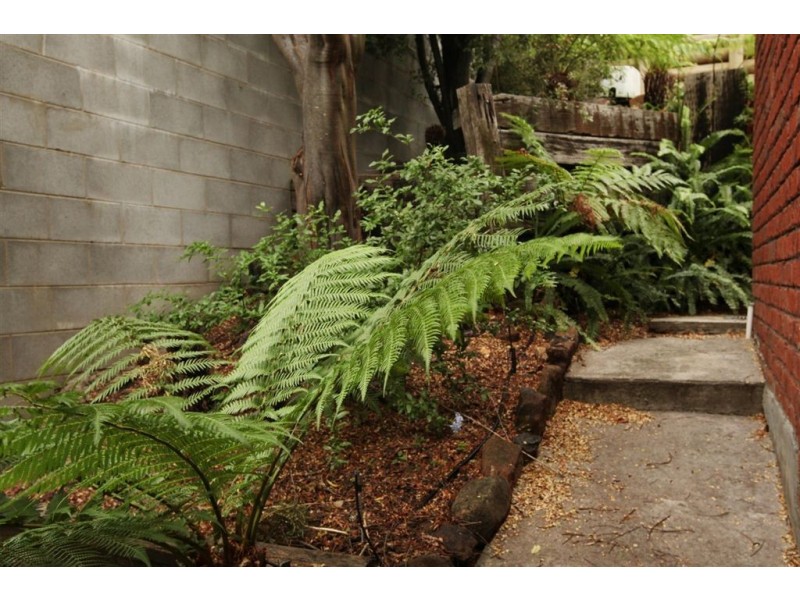 31 Nichols Street, Kings Meadows TAS 7249