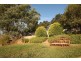 41 Allison Avenue, Riverside TAS 7250