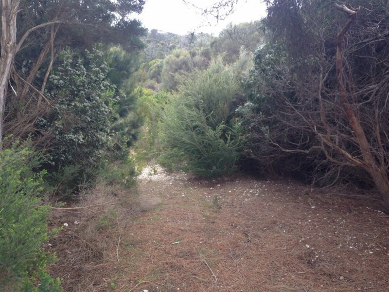 20 Pars Road, Greens Beach TAS 7270