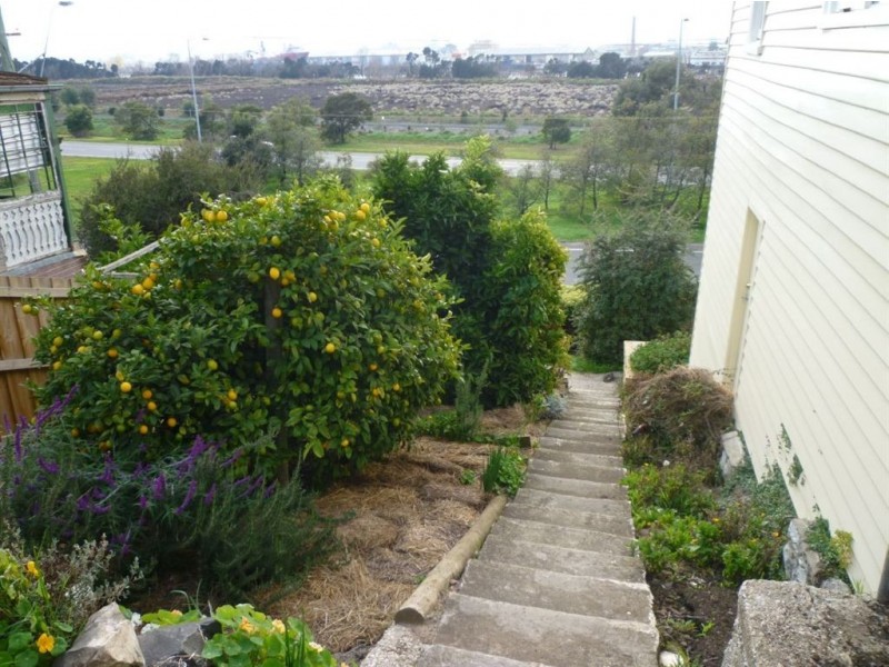 51 West Tamar Highway, Trevallyn TAS 7250