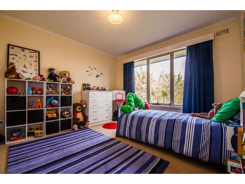 145 Punchbowl Road, Newstead TAS 7250