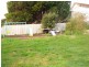 7 Anthony Street, Trevallyn TAS 7250