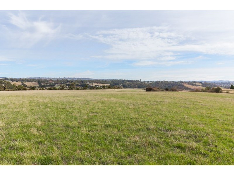 210 Blessington Road, St Leonards TAS 7250