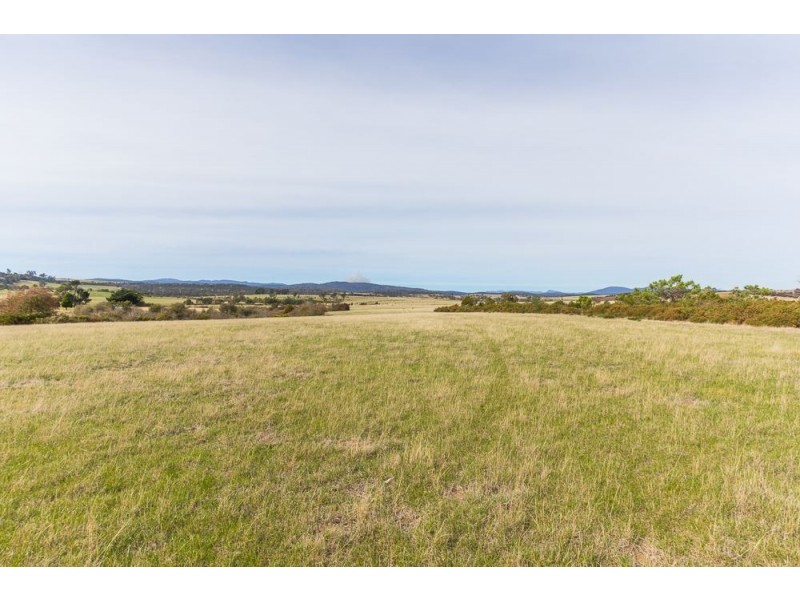 210 Blessington Road, St Leonards TAS 7250