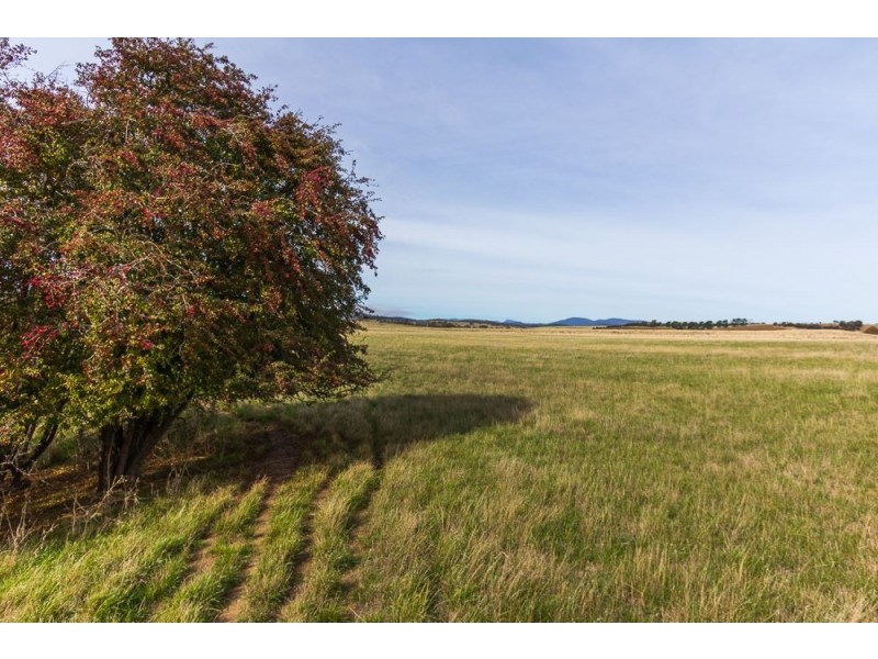 210 Blessington Road, St Leonards TAS 7250