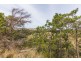 210 Blessington Road, St Leonards TAS 7250