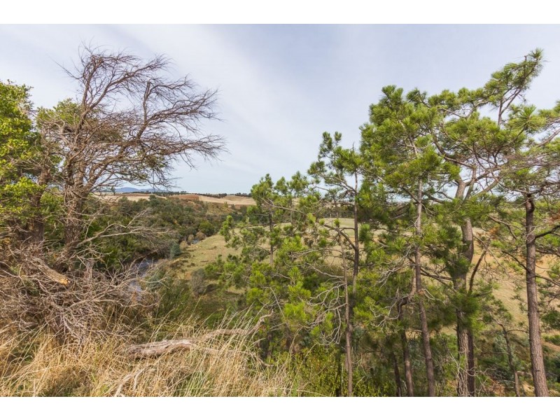 210 Blessington Road, St Leonards TAS 7250