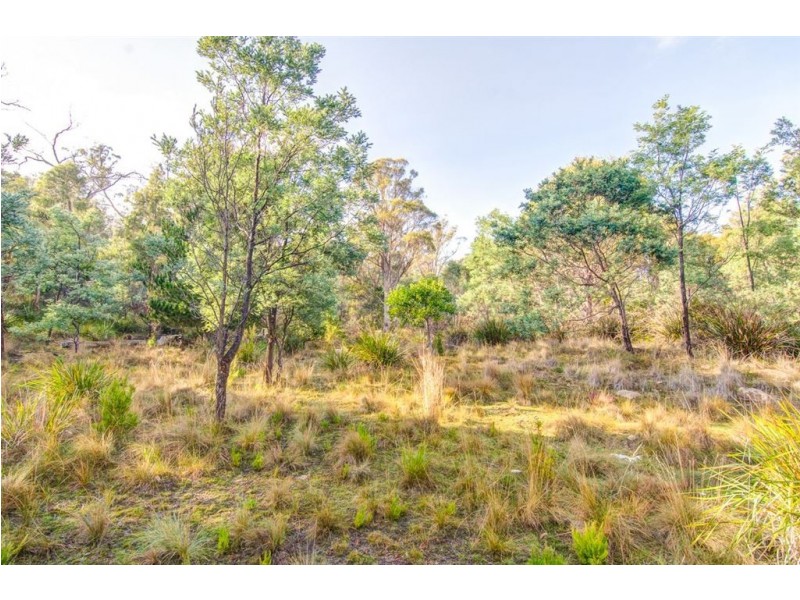 5 Keith Avenue, Travellers Rest TAS 7250