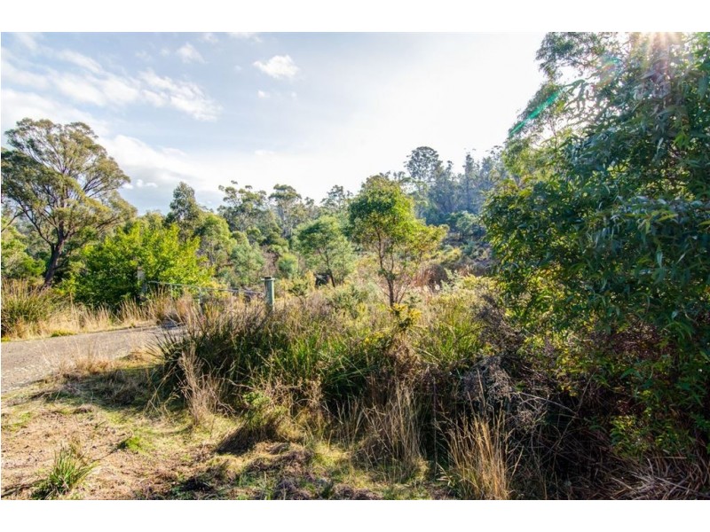 5 Keith Avenue, Travellers Rest TAS 7250