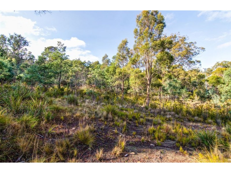 5 Keith Avenue, Travellers Rest TAS 7250