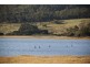 1024 Windermere Road, Swan Bay TAS 7252